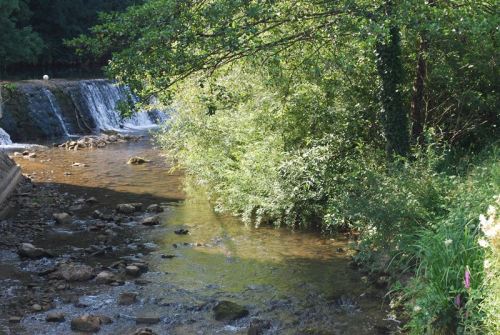 Potok Težka voda - Novo mesto