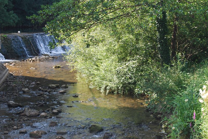 Potok Težka voda - Novo mesto