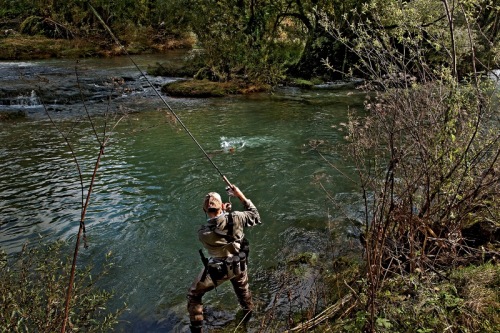 Reka Krka - ribič1