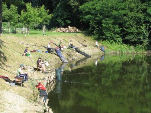 Tabor mladih ribičev v Ljutomeru