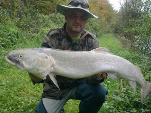 Željko Dražetič - sulec - 14.10.2013 - 107 cm - 10 kg