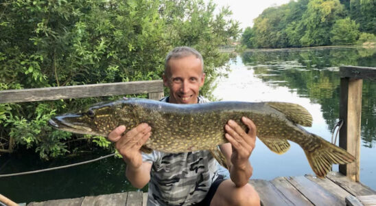 Peter Potočnik-Pjer, ščuka, 95cm, blestivka, 22.7.2022